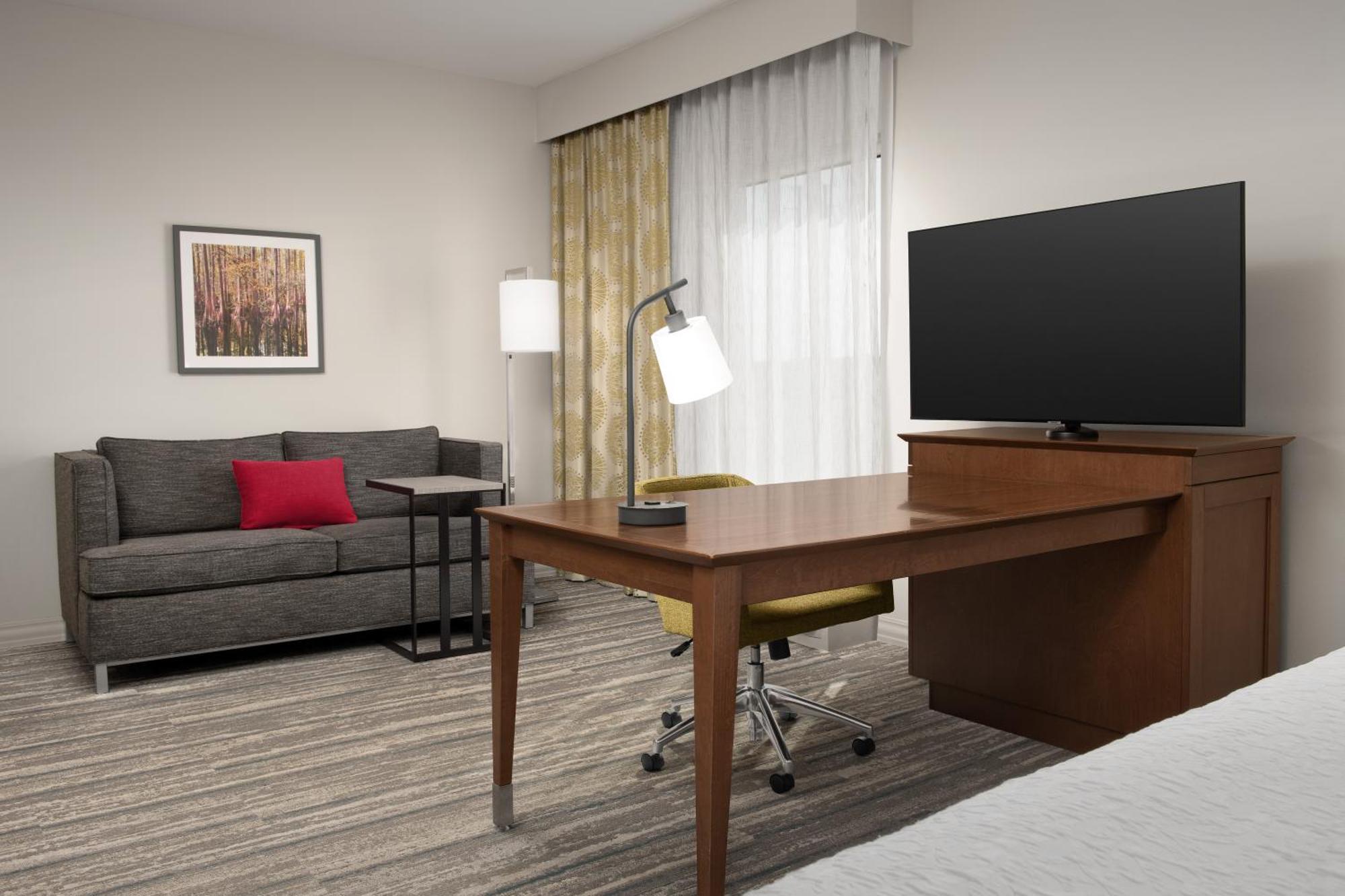 King Studio Suite Sofa Bed Hearing Access or Non-Smoking,1532398852:JPEG